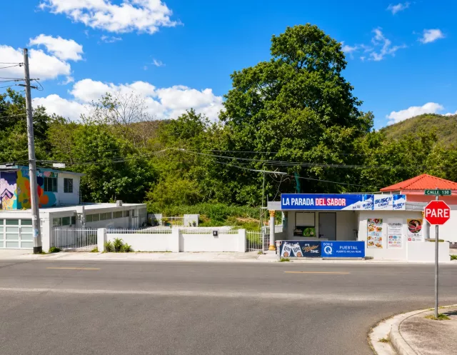 Bo. Pastillo, Propiedad Comercial En Ponce venta en Ponce, PR
