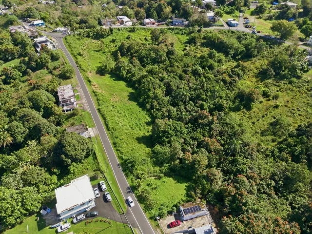 Bo. Ceiba, Terreno en Juncos venta en Juncos, PR