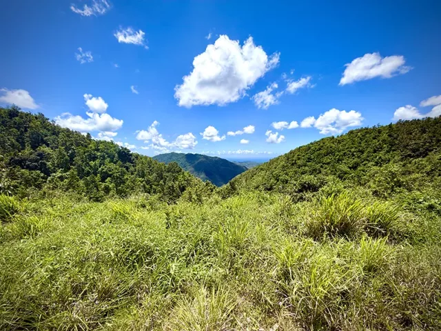 Bo. Cercadillo, Terreno en Cayey venta en Cayey, PR