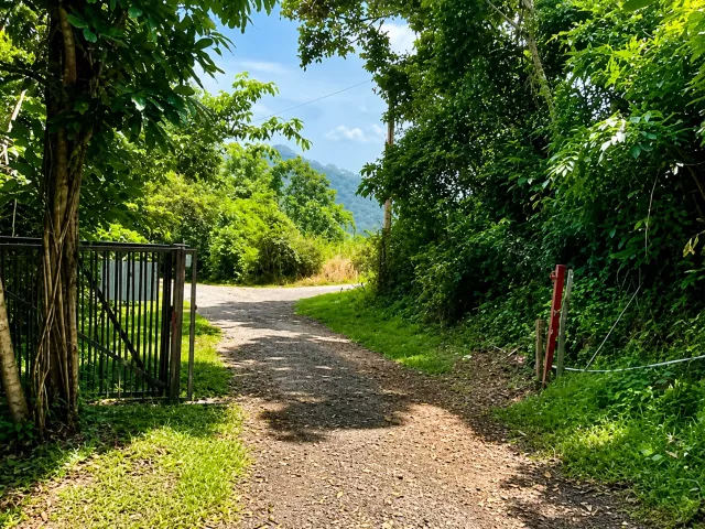 Bo. Palmas, Terreno en Guayama venta en Guayama, PR