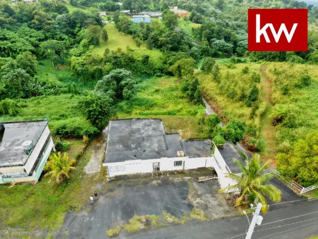 Bo. Guzman Arriba, Comercial venta en Río Grande, PR