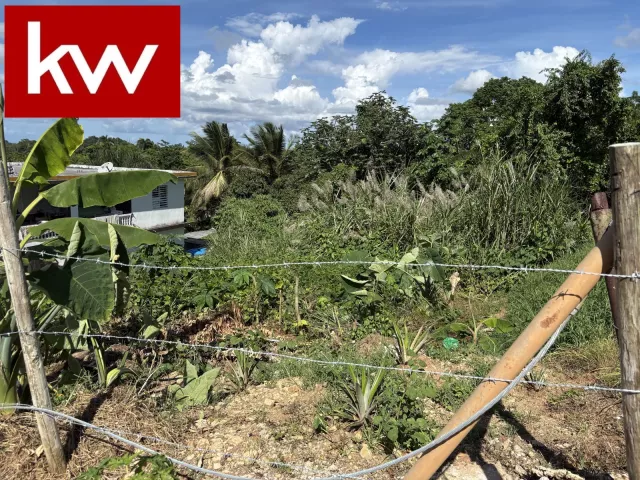 Terreno en Bo. Montellano, morovis - foto 1