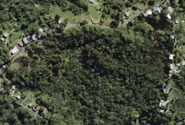 casas en venta o alquiler en Aguas Buenas