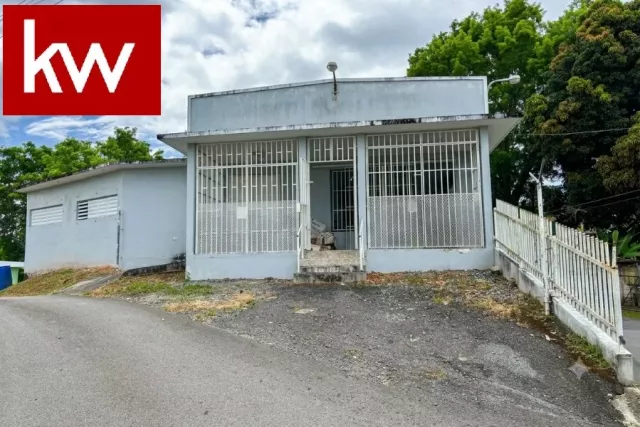 Local Comercial en Bo. Dos Bocas venta en Corozal, PR