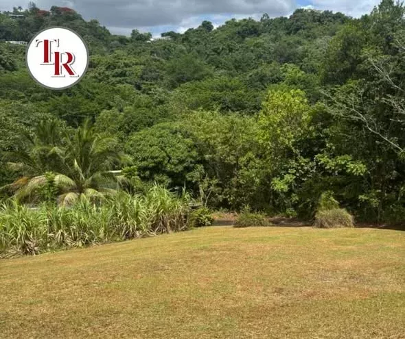 Barrio Rio venta en Guaynabo, PR