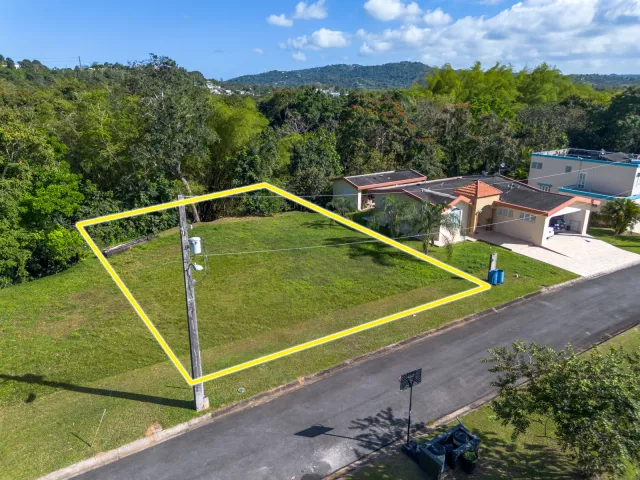 Bo. Florida, Terreno en San Lorenzo venta en San Lorenzo, PR