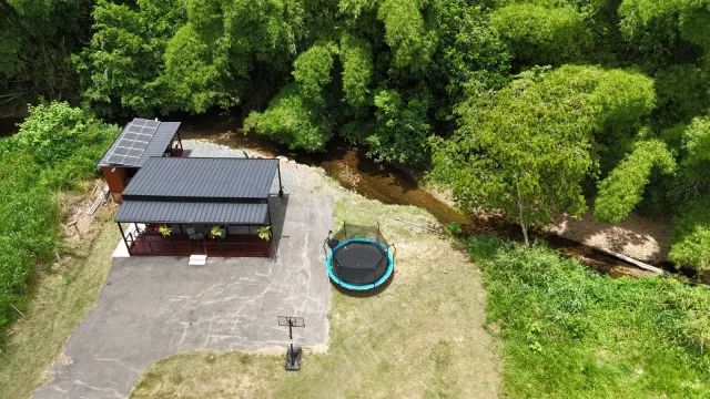 Naranjo venta en Aguada, PR