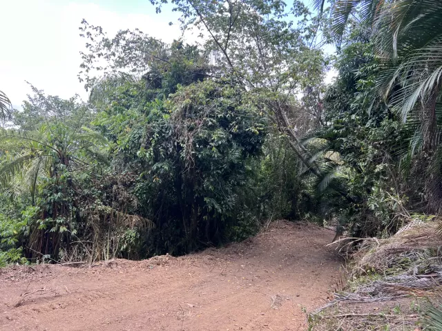 Bo. Limari, Finca en Adjuntas venta en Adjuntas, PR