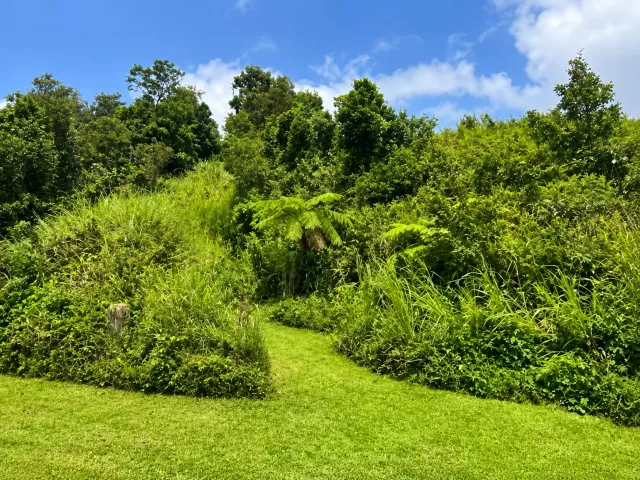 Bo. Palmas, Terreno en Guayama venta en Guayama, PR