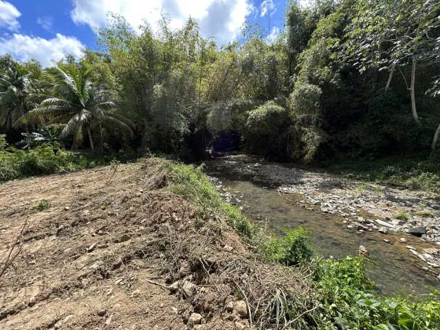Bo. Daguao, calle Los Millones venta en Naguabo, PR