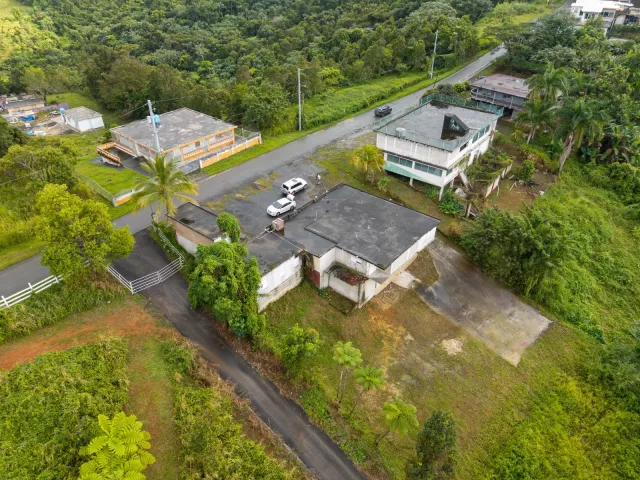 Bo. Guzman Arriba, Comercial venta en Río Grande, PR