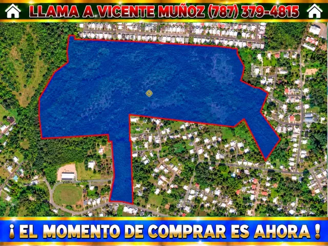 Bo Almacigo Bajo * Inversion venta en Yauco, PR
