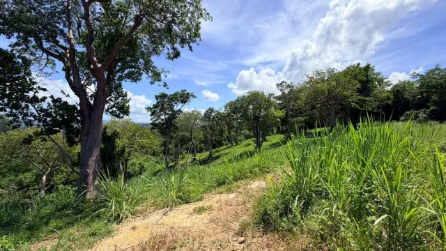 Aguada - Bo. Guaniquilla venta en Aguada, PR