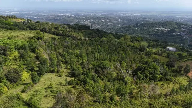 Bo Guzmán Arriba, Finca En Rio Grande venta en Río Grande, PR