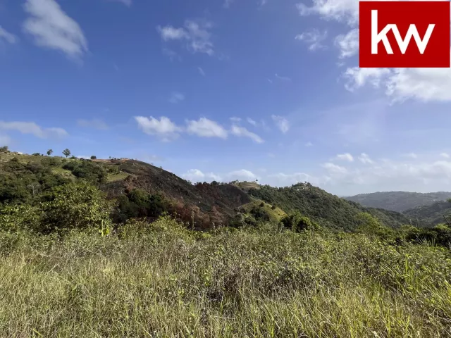 Terreno en Bo. Perchas, morovis - foto 1