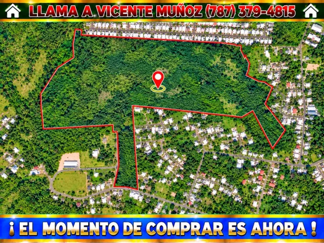 Bo Almacigo Bajo * Inversion venta en Yauco, PR