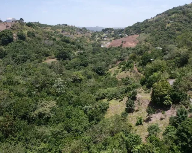 Bo. Rabanal, Terreno en Cidra venta en Cidra, PR