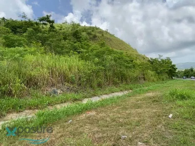 Barrio Rincon venta en Gurabo, PR