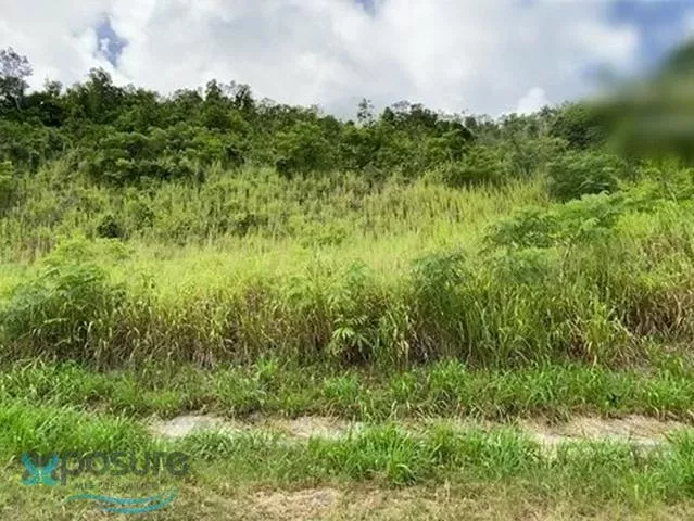 Barrio Rincon venta en Gurabo, PR