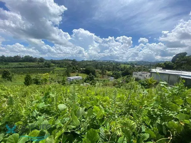 Barrio Quebradillas venta en Barranquitas, PR