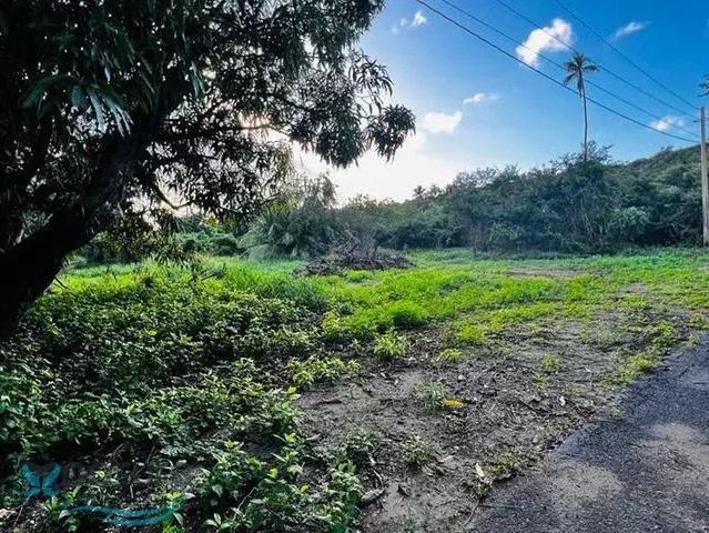 Barrio Bajuras venta en Isabela, PR