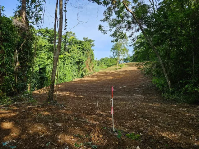 Barrio Victoria venta en Aguadilla, PR