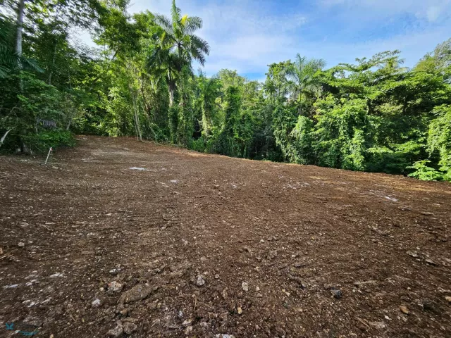 Barrio Victoria venta en Aguadilla, PR