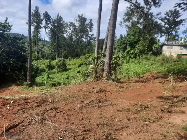 Barrio Naranjo venta en Moca, PR
