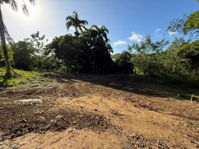 Barrio Bahomamey venta en San Sebastian, PR