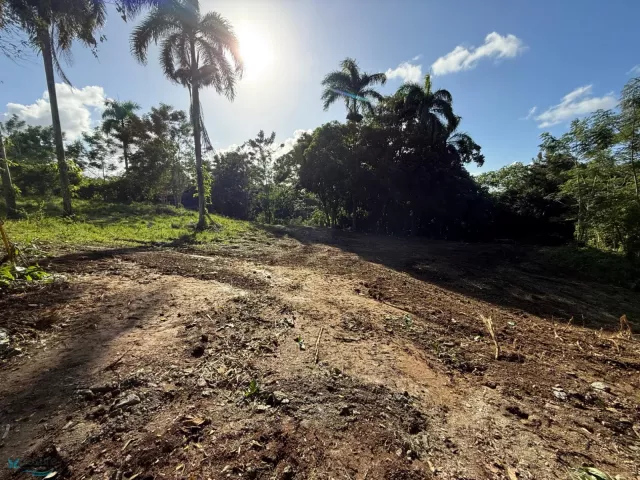 Barrio Bahomamey venta en San Sebastian, PR