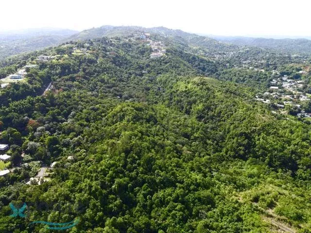 Barrio Quebrada Grande venta en Mayaguez, PR