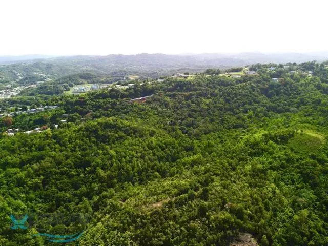Barrio Quebrada Grande venta en Mayaguez, PR
