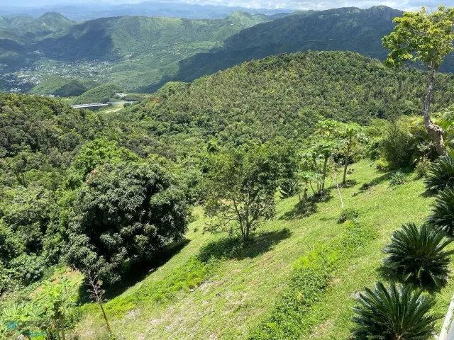 Barrio Cercadillo venta en Cayey, PR
