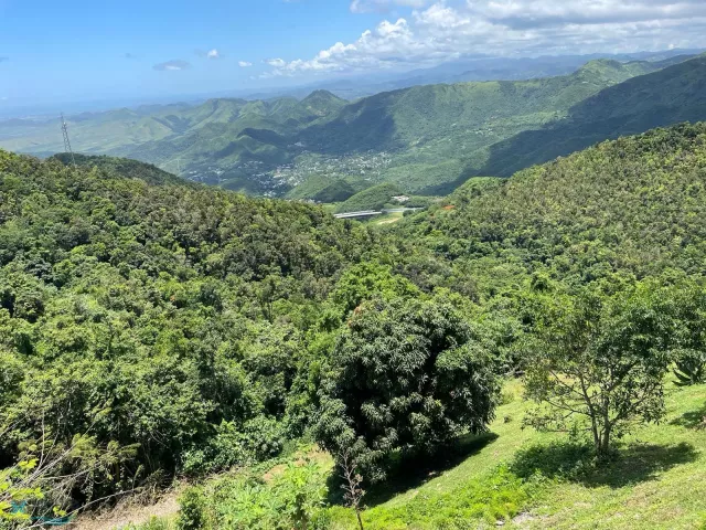 Barrio Cercadillo venta en Cayey, PR