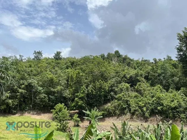 Barrio Pugnado Afuera venta en Vega Baja, PR