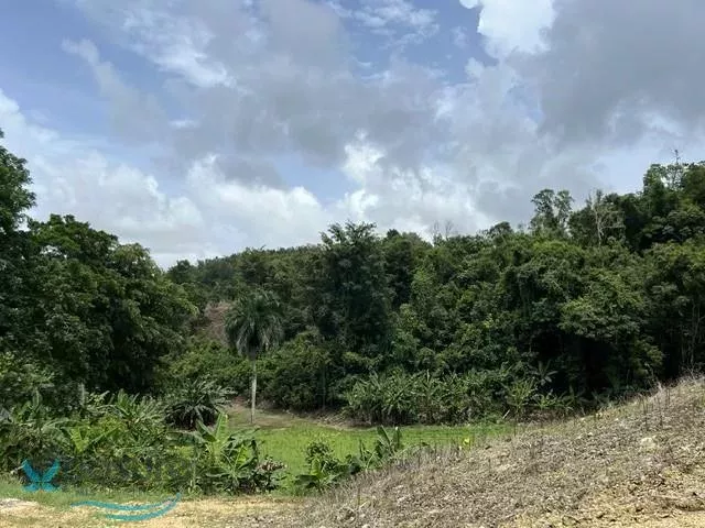 Barrio Pugnado Afuera venta en Vega Baja, PR