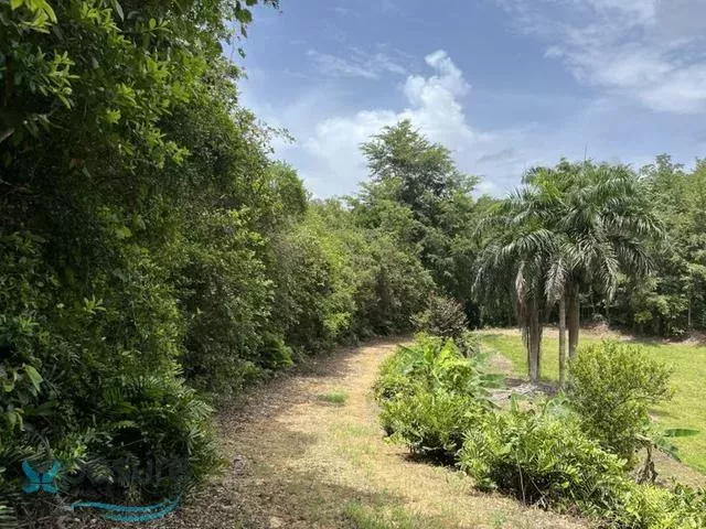 Barrio Pugnado Afuera venta en Vega Baja, PR