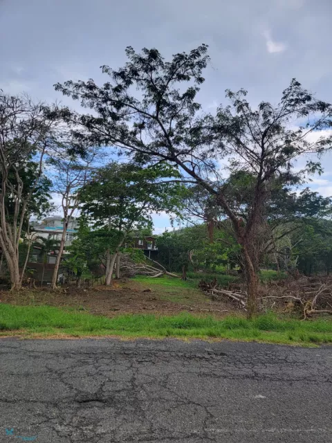 Barrio Buye venta en Cabo Rojo, PR