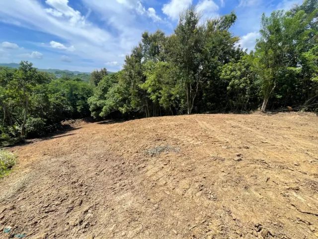Barrio Cain Alto venta en San German, PR