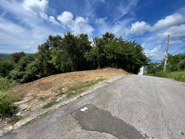 Barrio Cain Alto venta en San German, PR