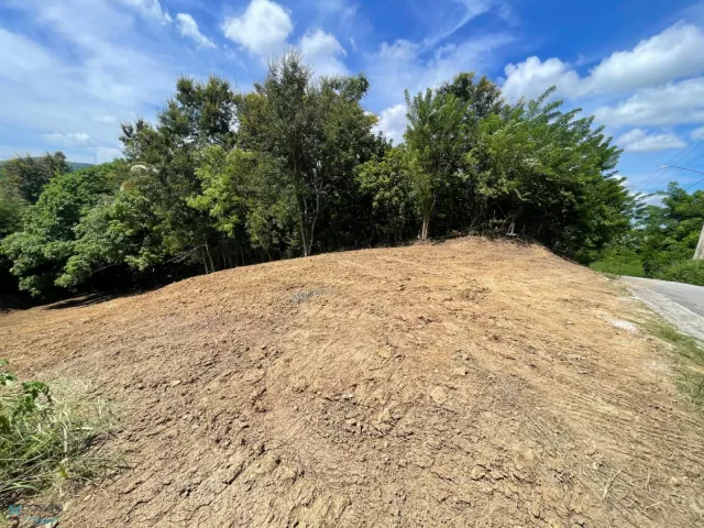 Barrio Cain Alto venta en San German, PR