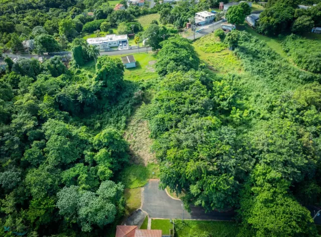 Sector Cristo De Los Milagros venta en Mayaguez, PR