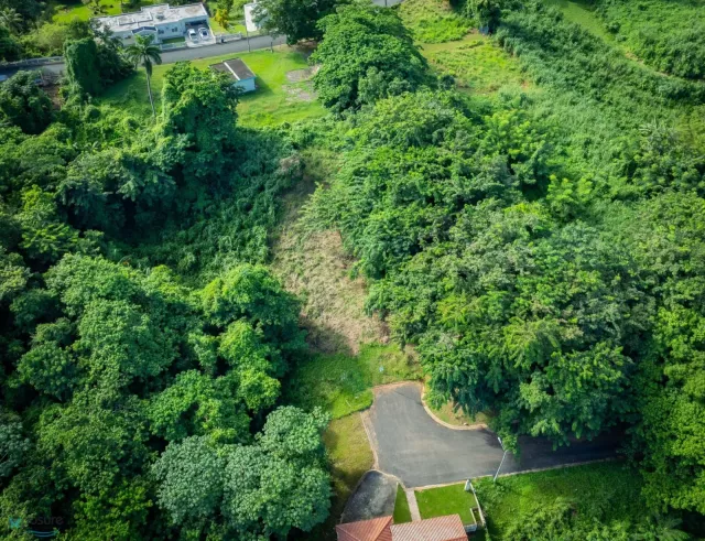 Sector Cristo De Los Milagros venta en Mayaguez, PR