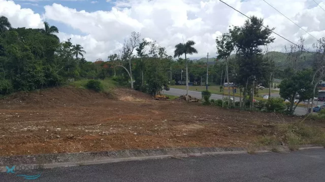 Barrio Hato Viejo venta en Ciales, PR