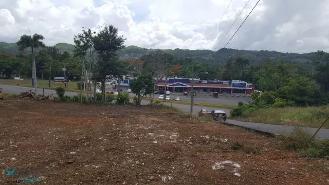 Barrio Hato Viejo venta en Ciales, PR