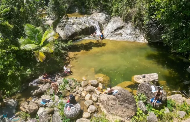 Barrio Cedros venta en Cayey, PR