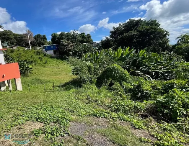 Barrio Barrero venta en Rincon, PR