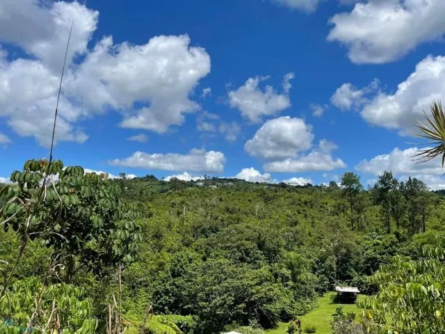 Barrio Bromelia venta en Barranquitas, PR
