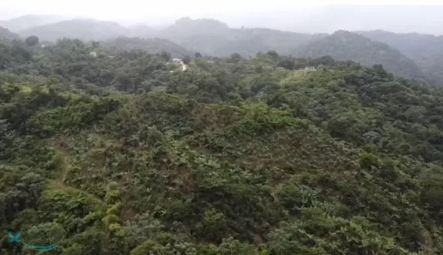 Barrio Cerrote venta en Las Marias, PR