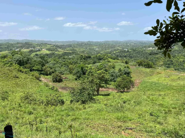 Barrio Voladoras venta en Moca, PR